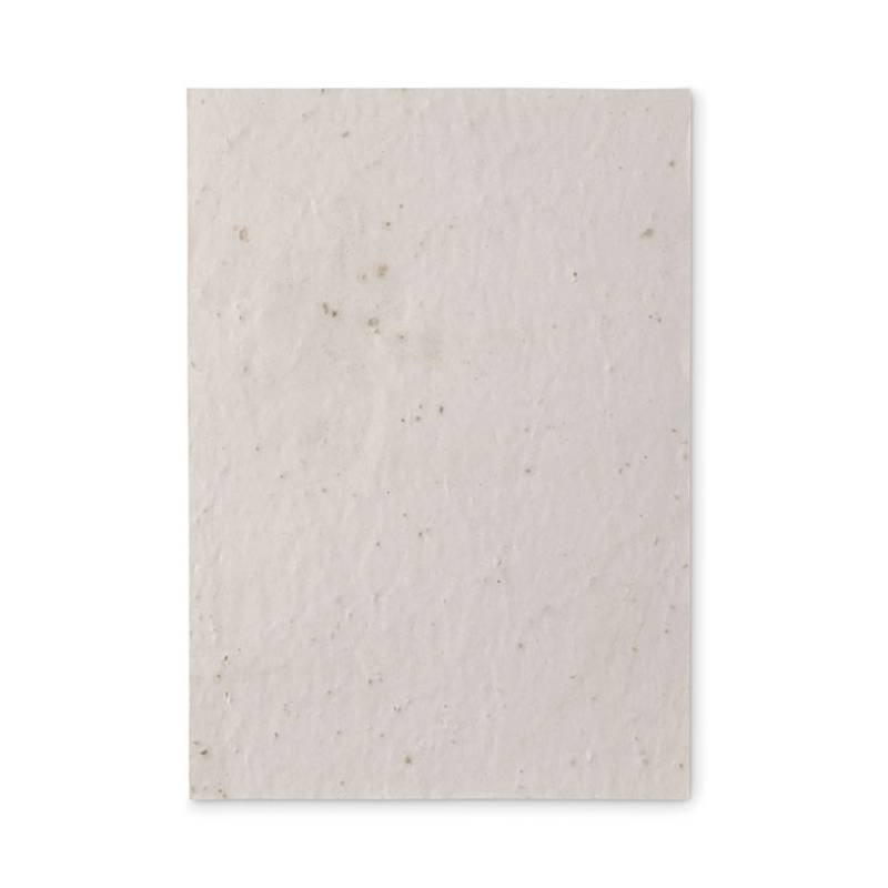 ASIDE List recyklovaného papiera A5 so semienkami divokých kvetov, biela ASIDE List recyklovaného papiera A5 so semienkami divokých kvetov, biela