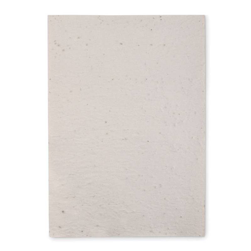 ASIDI List recyklovaného papiera A4 so semienkami divokých kvetov, biela