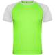 zelená - biela - zelená fluor - zelená fluor - biela zelená - biela - zelená fluor - zelená fluor - biela