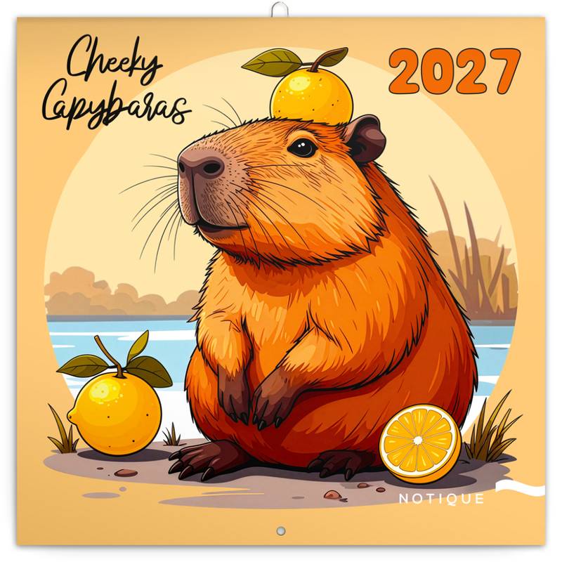 NOTIQUE Poznámkový kalendář Rozverné kapybary 2027, 30 x 30 cm NOTIQUE Poznámkový kalendář Rozverné kapybary 2027, 30 x 30 cm