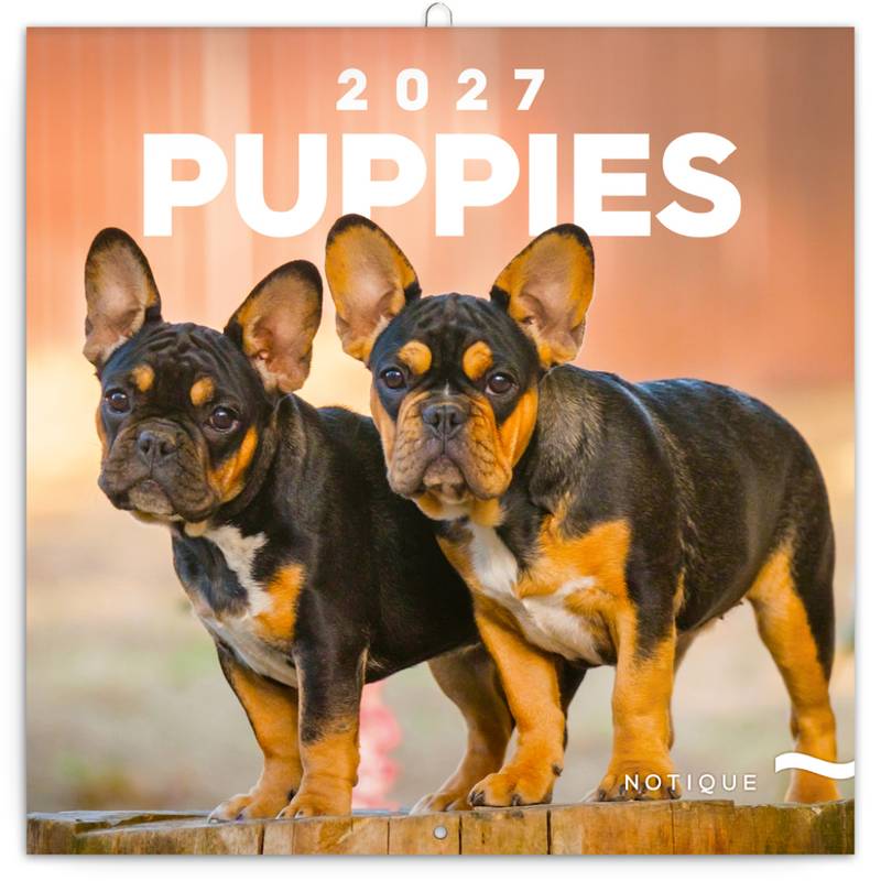 NOTIQUE Grid calendar Puppies 2027, 30 x 30 cm NOTIQUE Grid calendar Puppies 2027, 30 x 30 cm