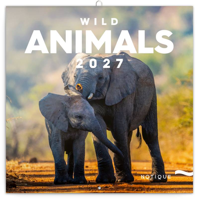 NOTIQUE Grid calendar Wild Animals 2027, 30 x 30 cm NOTIQUE Grid calendar Wild Animals 2027, 30 x 30 cm