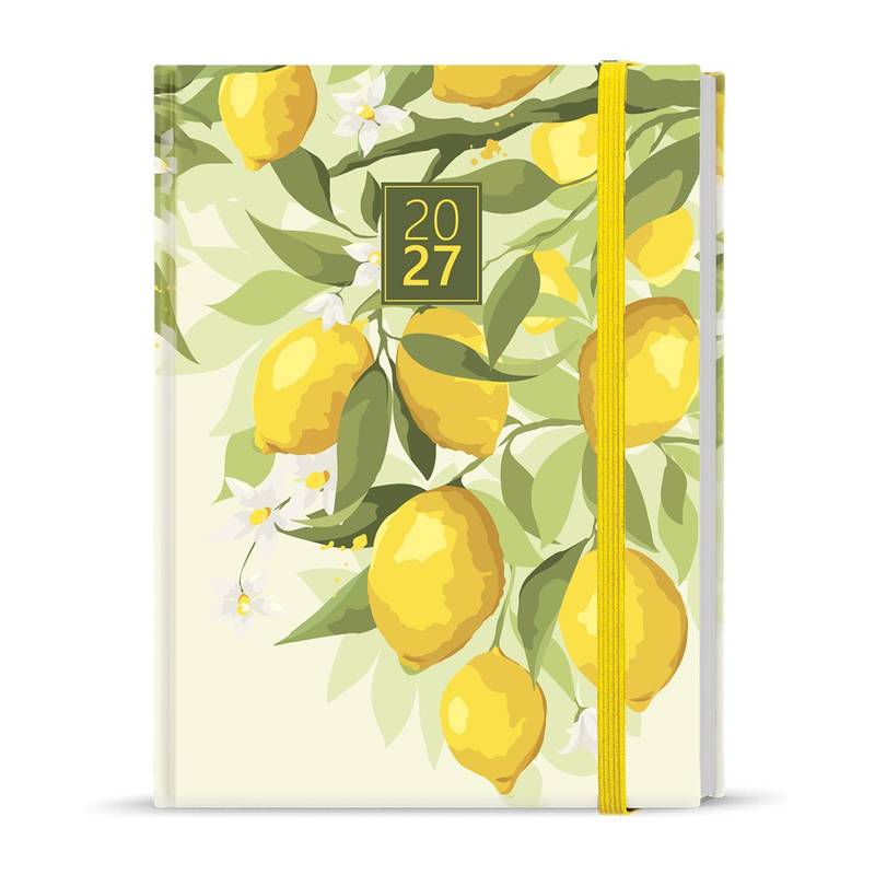 Denní diář - Adam - Lamino - B6 - Citron Denní diář - Adam - Lamino - B6 - Citron